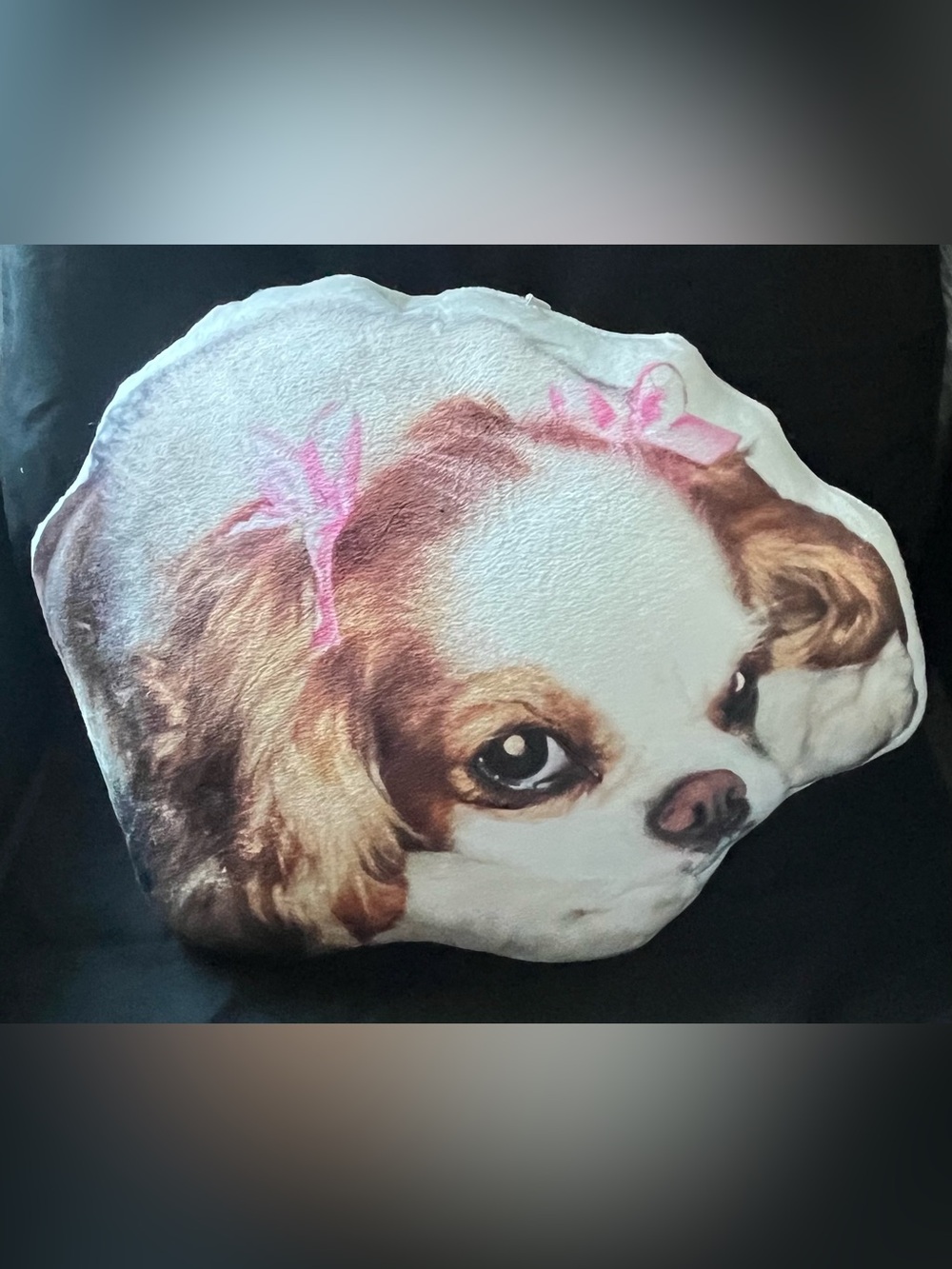 Cavalier King Charles Spaniel Throw Pillow Double Sided